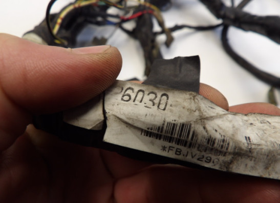 Kabelboom Kawasaki ER 5