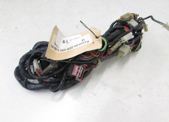 Kabelbaum Kawasaki ZZR 600