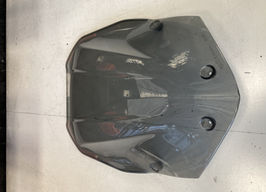 Windschild Aprilia Tuono 660