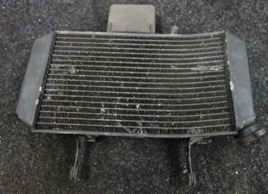 Radiateur Suzuki DL 650 V STROM