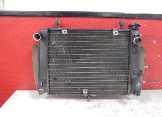 Radiator Yamaha YZF R6