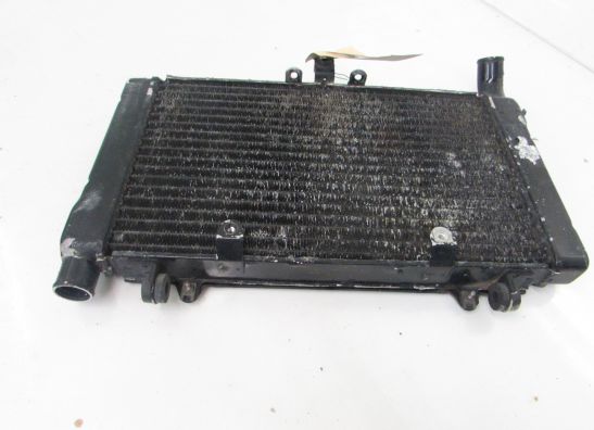 Radiateur Honda CBR 1000 F