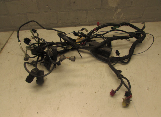 Kabelboom Honda ST 1100 Pan European