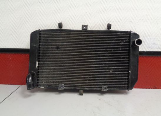 Kuhler Kawasaki Z 750