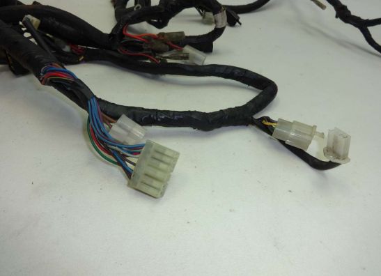 Wire Harness Yamaha XJ 900 S Diversion