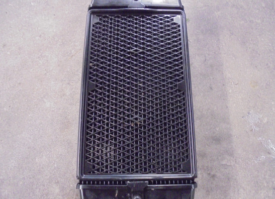 Kuhler Triumph Bonneville T 120