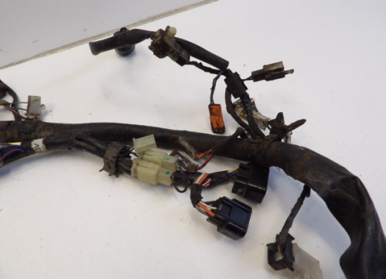 Kabelboom Yamaha FAZER 600