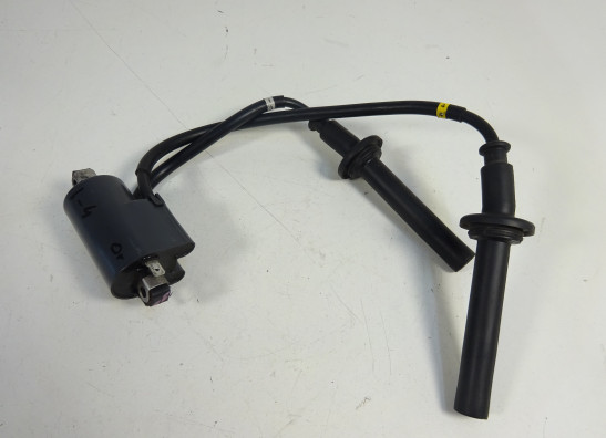 Bobine Yamaha FAZER 1000
