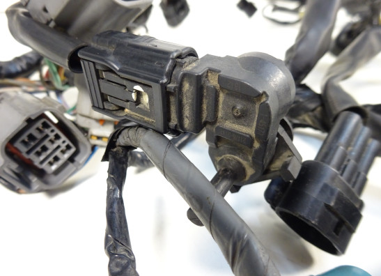 Wire Harness Kawasaki ER 6