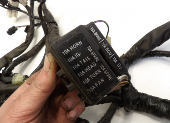 Wire Harness Kawasaki ER 6