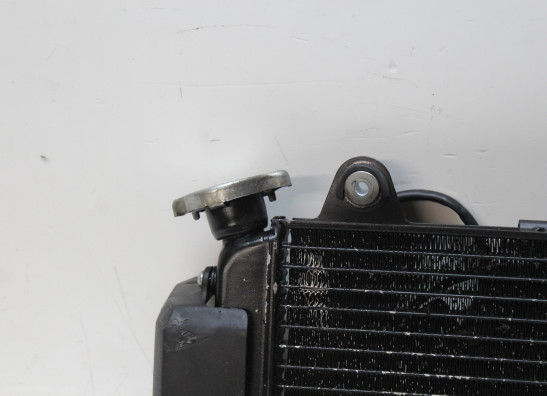 Radiator Yamaha MT 03