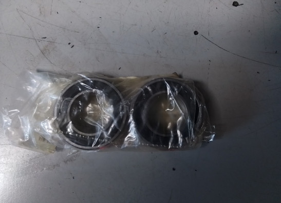 Hinterradschwinge Ducati 1098  1198