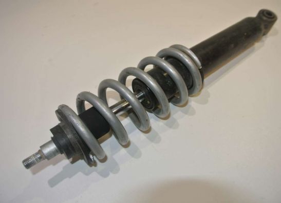 Stossdämpfer vorne BMW R 1200 R