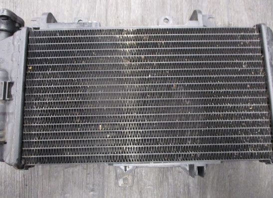Radiateur BMW F 800 R
