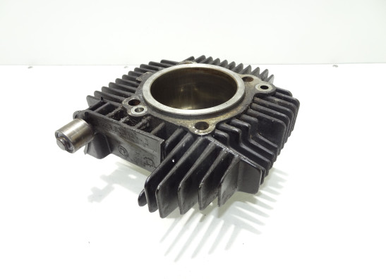 Cilinderblok Ducati monster 600