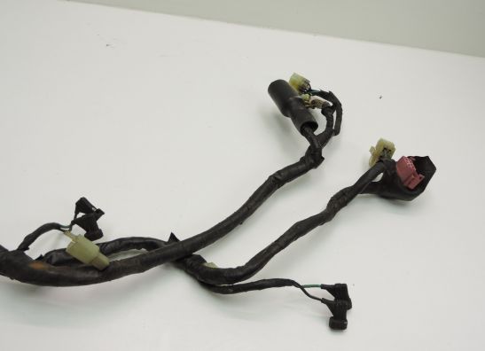 Wire Harness Honda TRANSALP