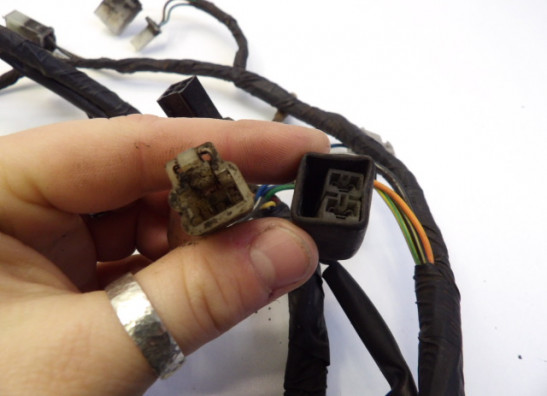 Wire Harness Suzuki RF 900