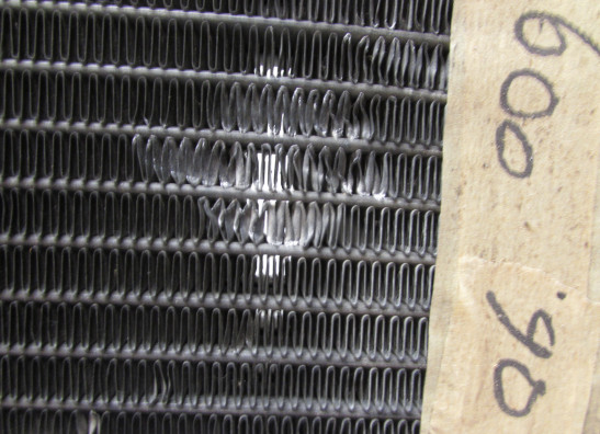 Kuhler Yamaha FZR 600