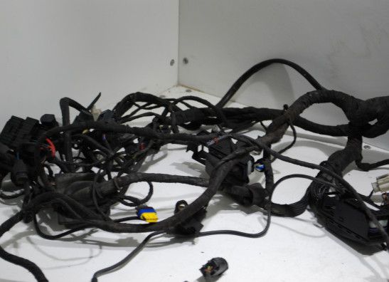 Kabelbaum BMW R 1200 RT