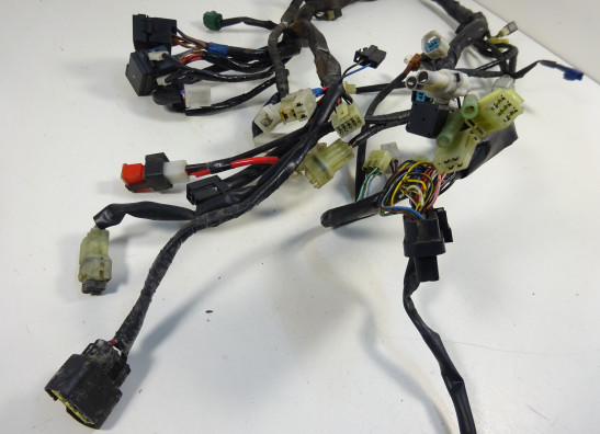 Kabelbaum Yamaha FJR 1300