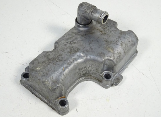 Engine cover Triumph Street Triple 675