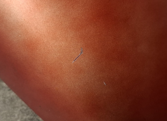 Front fender Suzuki VX 800