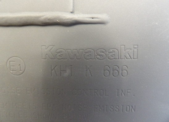 Uitlaat Kawasaki Z 900