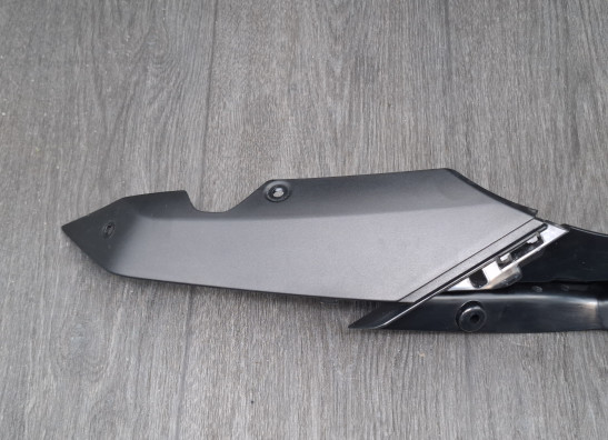 Linker achterkant BMW R 1250 RS