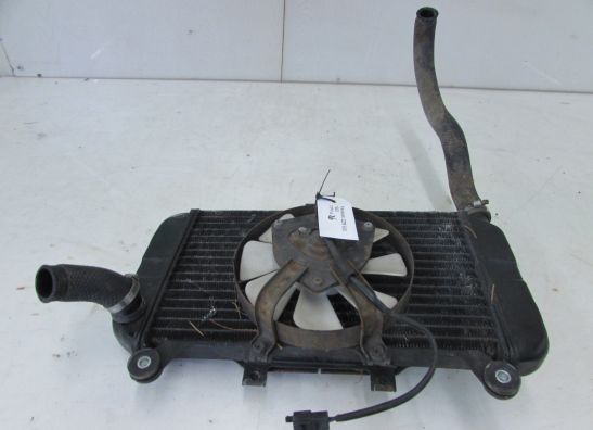 Radiator Kawasaki ZZR 600