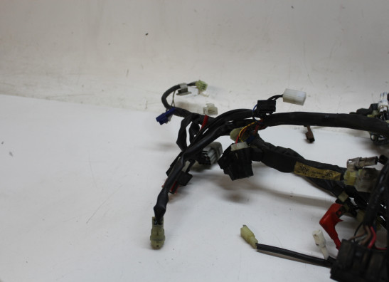 Wire Harness Yamaha FJR 1300