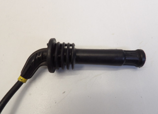 Bobine Triumph Trophy 900