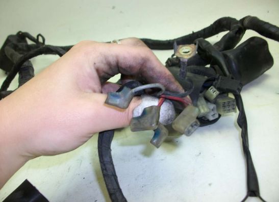 Kabelbaum Yamaha TDM