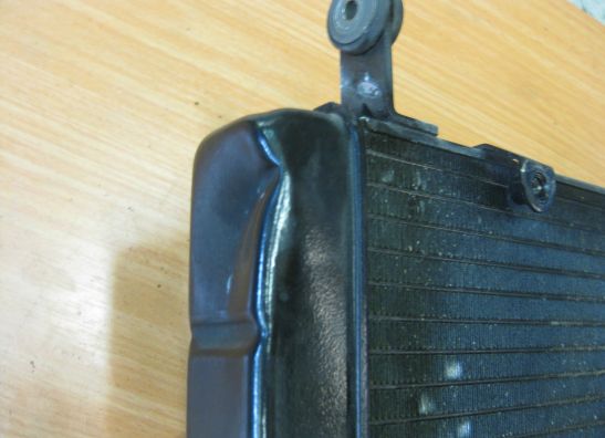 Kuhler Yamaha YZF 600 Thundercat