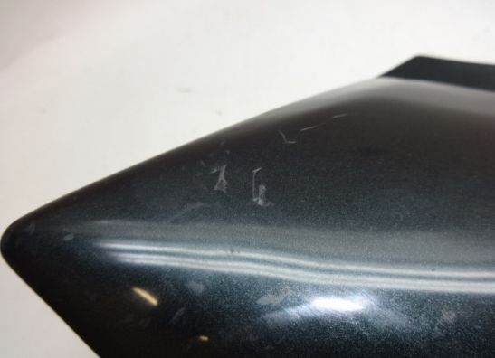 Linker achterkant Suzuki GSF 600 650 Bandit 