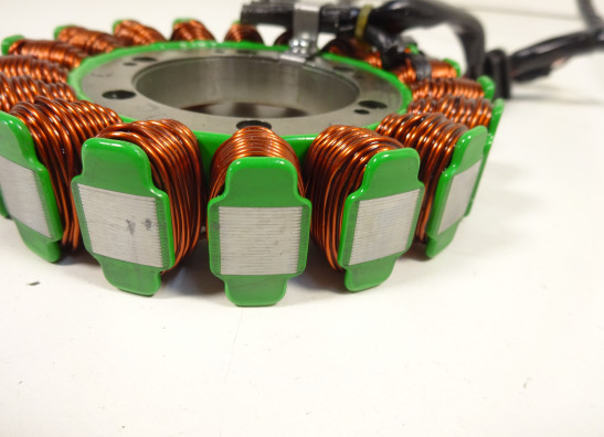 Dynamo Aprilia Tuono 660