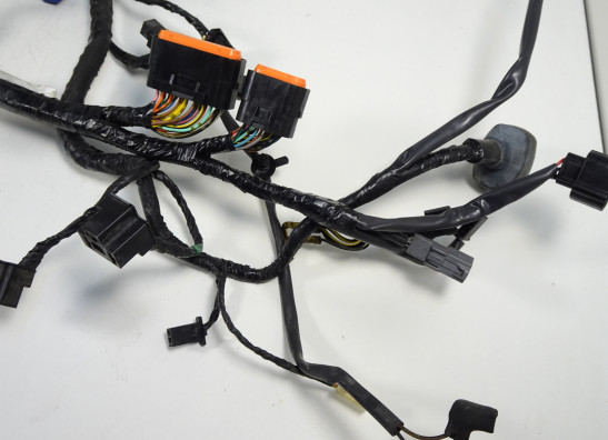 Kabelboom Kawasaki VERSYS 650