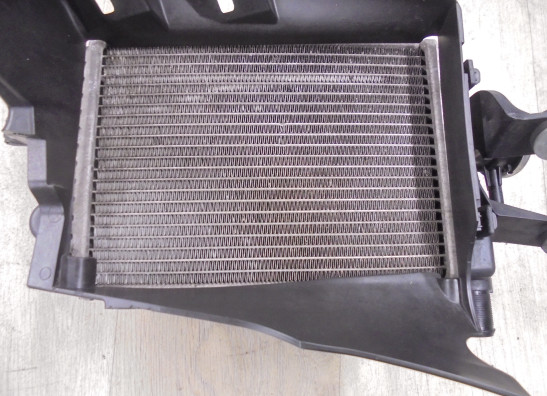 Kuhler BMW R 1200 GS LC