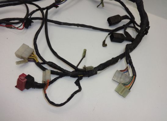 Wire Harness Kawasaki ZZR 250