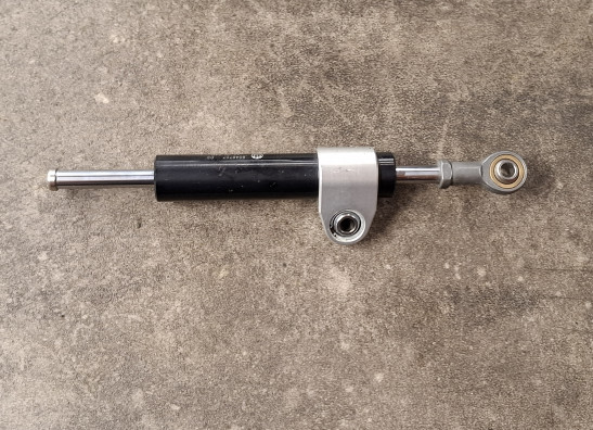 Steering damper BMW R 1250 R