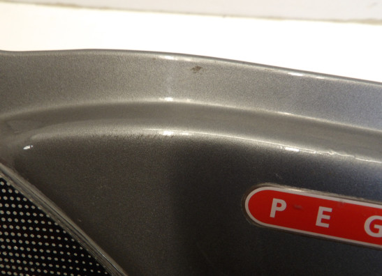 Heck links Aprilia Pegaso