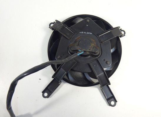 Fan Yamaha TDM