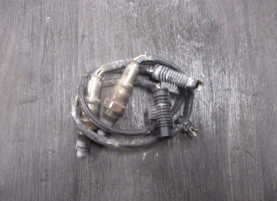 Lambda sensor BMW R 1250 GS Adventure