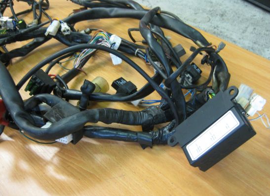 Kabelboom Aprilia RSV 1000