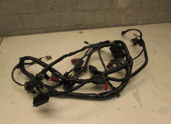 Wire Harness Honda CBR 1000 F