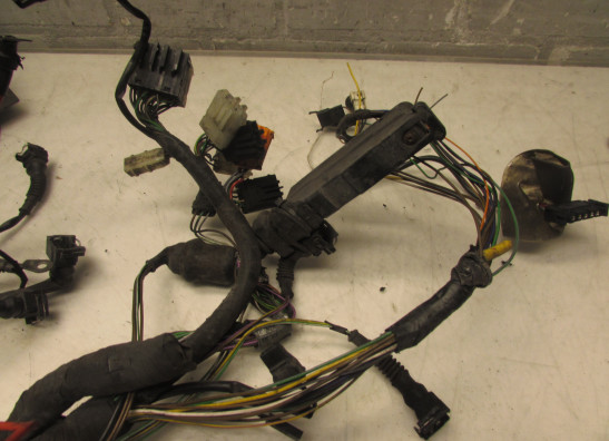 Kabelboom BMW R 850 R