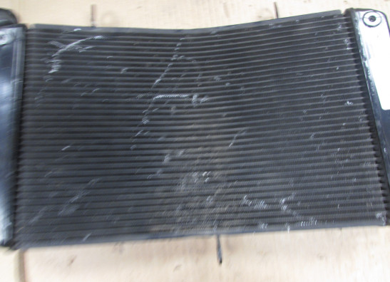Radiator Yamaha FZ1