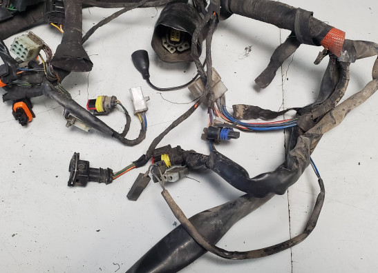 Kabelboom Aprilia Tuono 1000