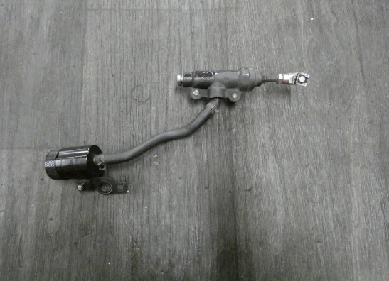 Rempomp achter Triumph Speed Triple 1050
