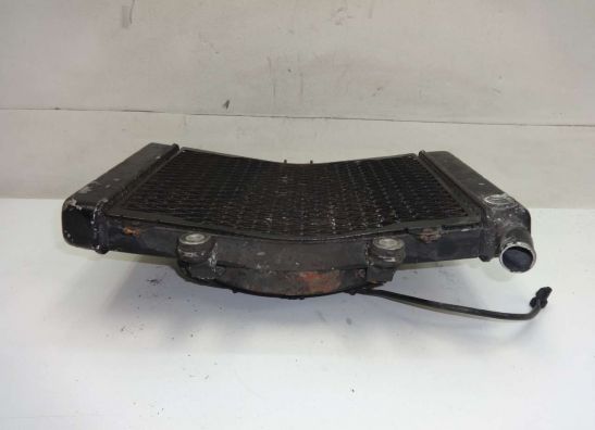 Radiateur Honda CBR 1000 F