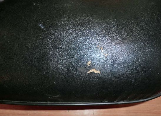 Buddy zadel Honda VT 1100